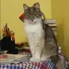 Отзыв от Лилия Анисимова